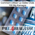 Comment Utiliser La Gelée Orale 100 Mg Kamagra viagra3